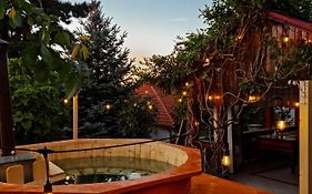 Vila cu Ciubar&Jacuzzi - Sunset Hill House